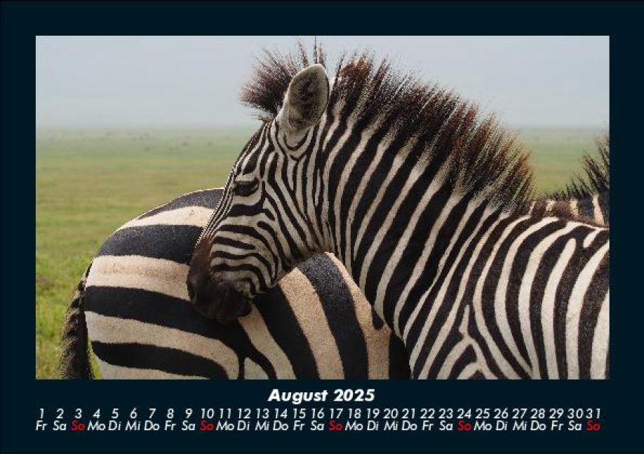 InsideView 12