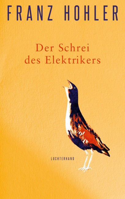 Der Schrei des Elektrikers - Franz Hohler