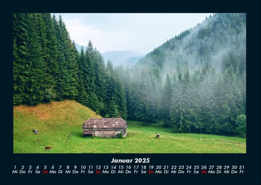 InsideView 5
