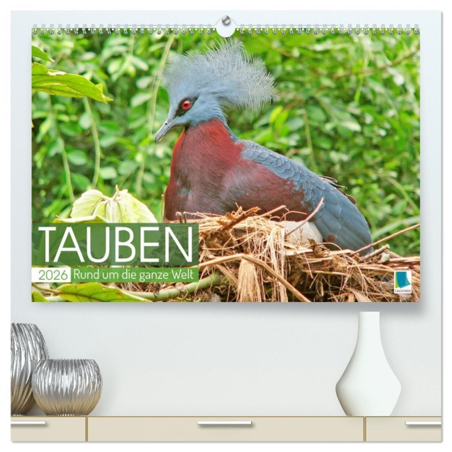 Tauben rund um die ganze Welt (hochwertiger Premium Wandkalender 2026 DIN A2 quer), Kunstdruck in Hochglanz - Calvendo Calvendo