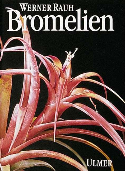 Bromelien - Werner Rauh