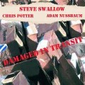 Cover-Bild zum Titel 'Damaged in transit' von 'Steve/Potter Swallow'