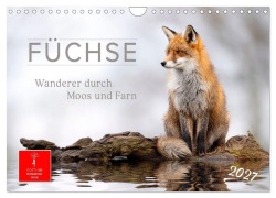 Cover-Bild zum Titel 'Füchse - Wanderer durch Moos und Farn (Wandkalender 2027 DIN A4 quer), CALVENDO Monatskalender' von 'Meike und Peter Roder'