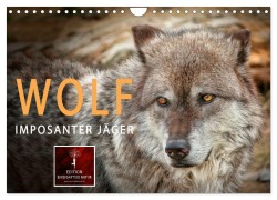 Cover-Bild zum Titel 'Wolf - Imposanter Jäger (Wandkalender 2026 DIN A4 quer), CALVENDO Monatskalender' von 'Peter Roder'