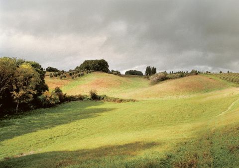 InsideView 12