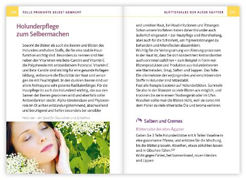 InsideView 5