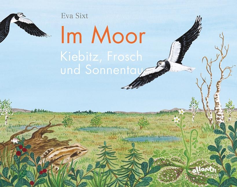 Im Moor - Kiebitz, Frosch und Sonnentau - Eva Sixt