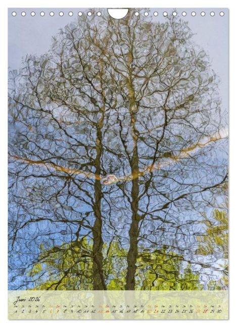 InsideView 11