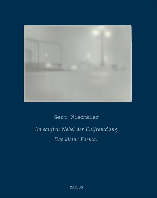 Im sanften Nebel der Entfremdung - Gert Wiedmaier