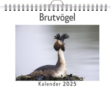 Cover-Bild zum Titel 'Brutvögel - (Wandkalender 2025, Kalender DIN A4 quer, Monatskalender im Querformat mit Kalendarium, das perfekte Geschenk)' von 'Olivia Lange'
