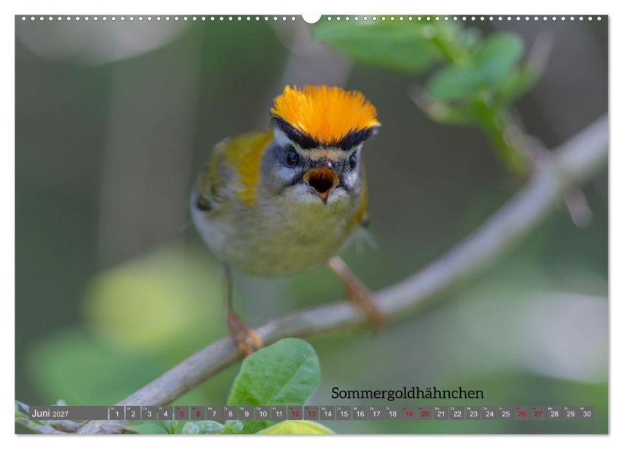 InsideView 10