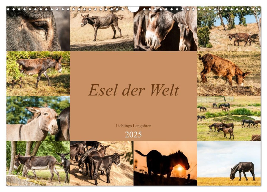 Esel der Welt - Lieblings Langohren (Wandkalender 2025 DIN A3 quer), CALVENDO Monatskalender - Meike Bölts