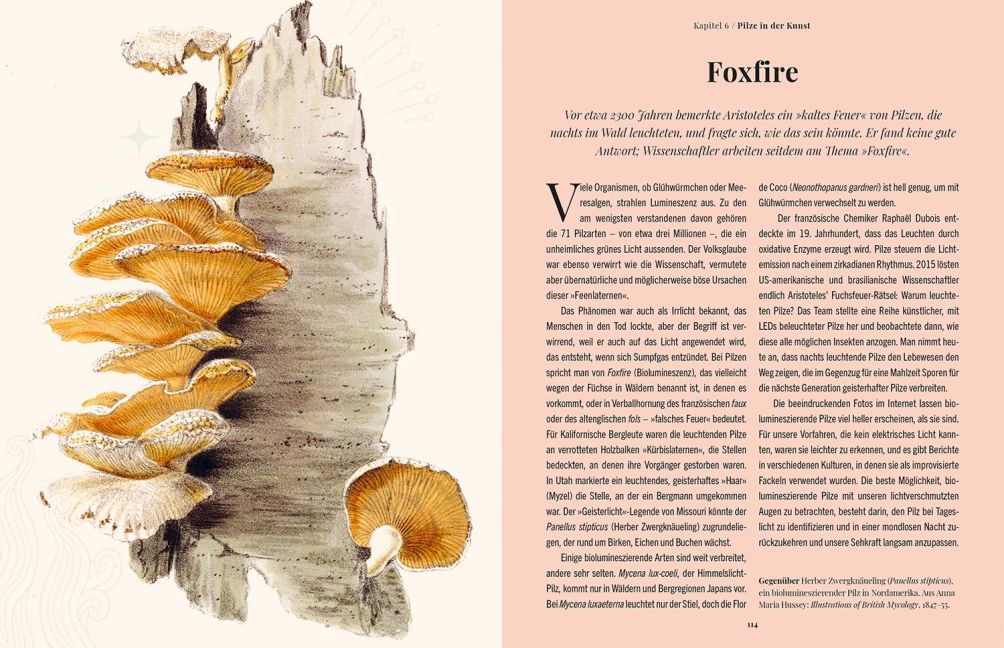 InsideView 4