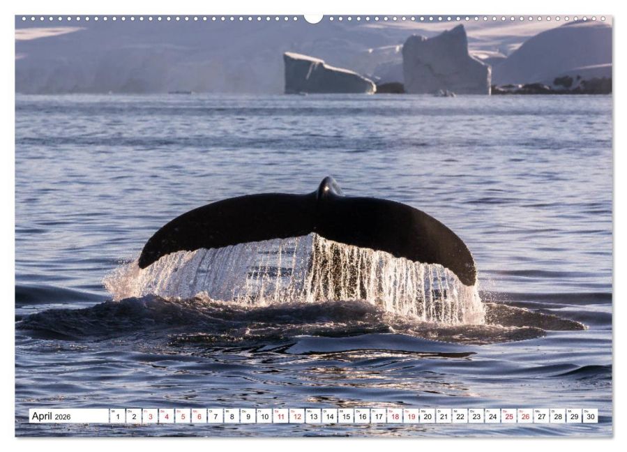 InsideView 8