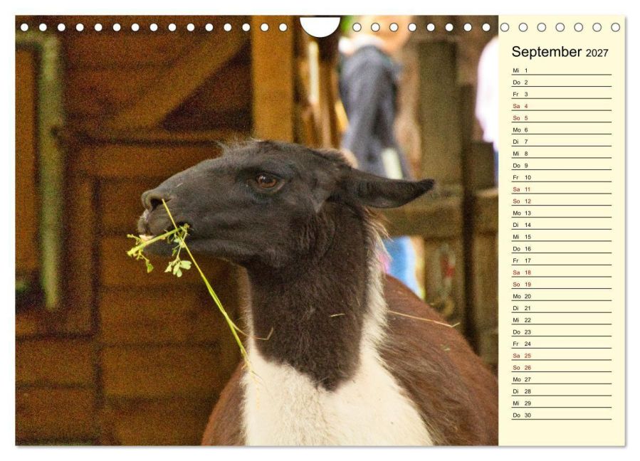 InsideView 14