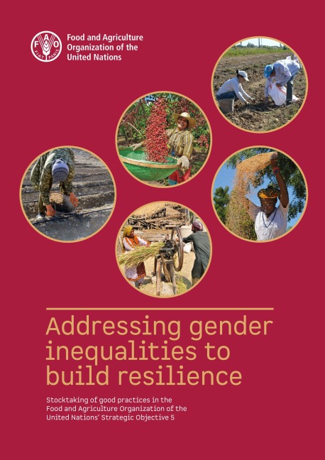 Addressing Gender Inequalities to Build Resilience: Stocktaking of Good Practices in the Food and Agriculture Organization of the United Nations' Strategic Objective 5 - FAOoftheUN