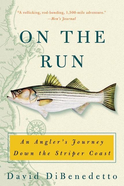 On the Run - David Dibenedetto