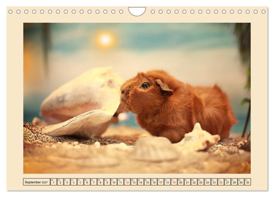 InsideView 14