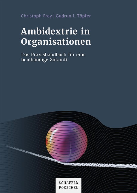 Ambidextrie in Organisationen - Christoph Frey, Gudrun L. Töpfer