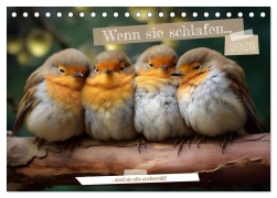 Cover-Bild zum Titel 'Wenn sie schlafen... (Tischkalender 2026 DIN A5 quer), CALVENDO Monatskalender' von 'Daniela Tapper'