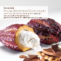 Cover-Bild zum Titel 'From Bean To Chocolate' von 'Bruno Faist'