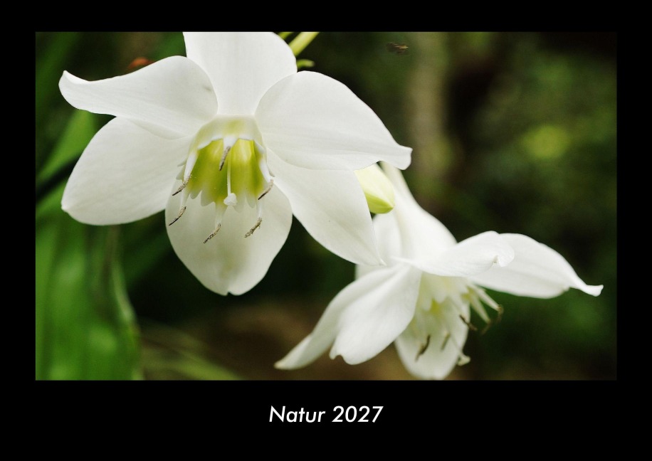 Natur 2027 Fotokalender DIN A3 - Tobias Becker
