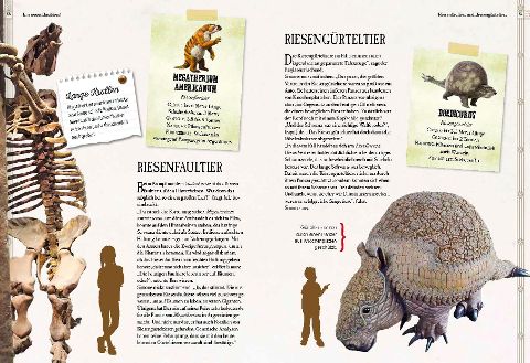 InsideView 11