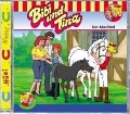 Cover-Bild zum Titel 'Folge 06:Der Abschied' von 'Bibi & Tina'