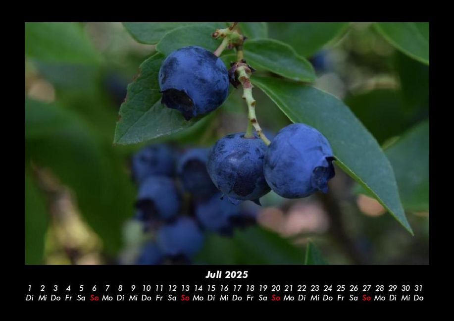 InsideView 11