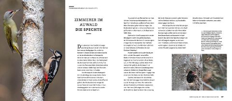 InsideView 10
