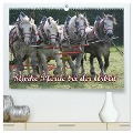 Starke Pferde bei der Arbeit (hochwertiger Premium Wandkalender 2024 DIN A2 quer), Kunstdruck in Hochglanz - Antje Lindert-Rottke