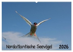 Cover-Bild zum Titel 'Nordatlantische Seevögel (Wandkalender 2026 DIN A2 quer), CALVENDO Monatskalender' von 'Gerald Wolf'