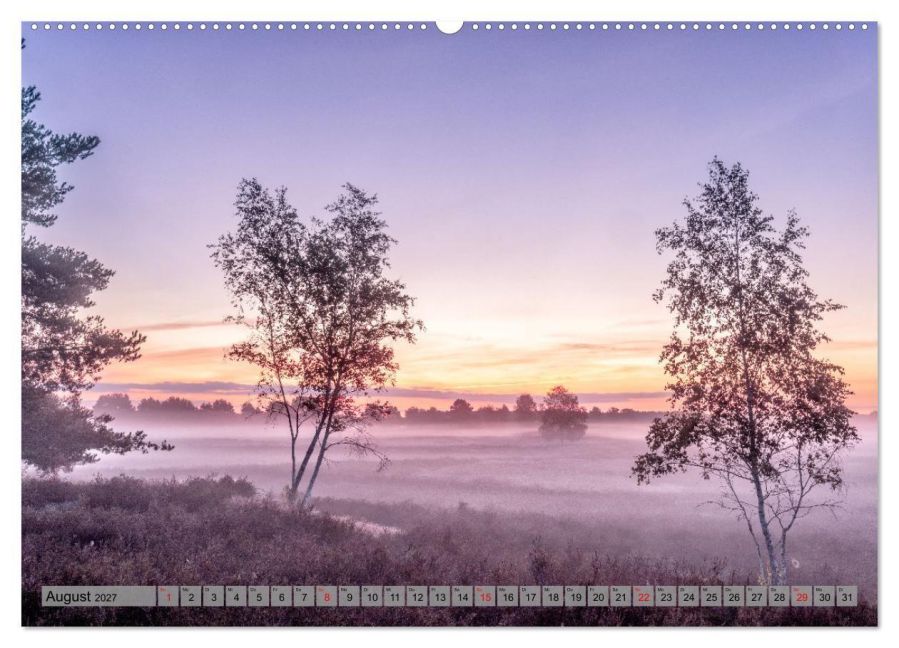 InsideView 12