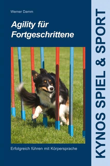 Agility für Fortgeschrittene - Werner Damm