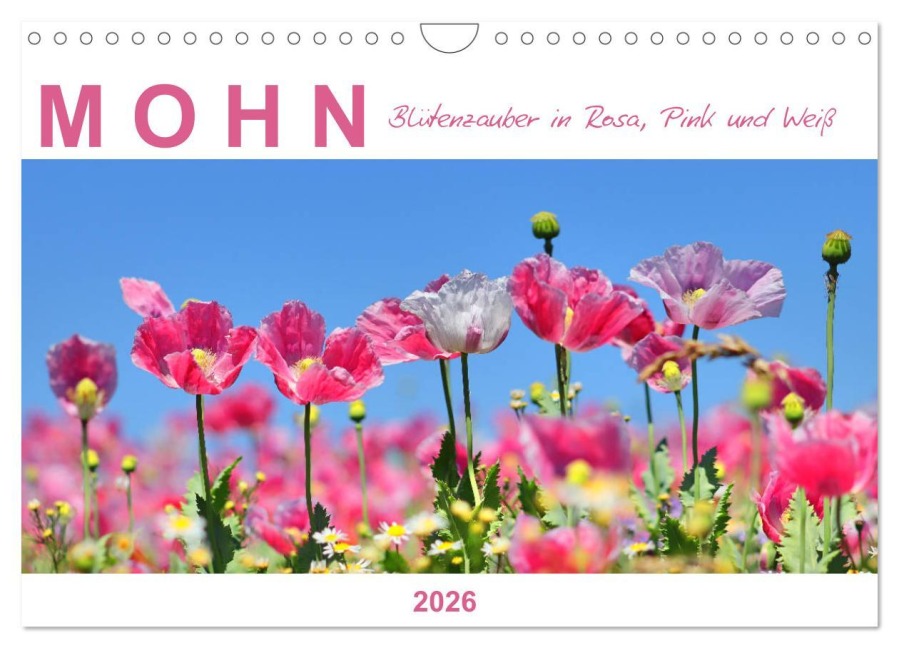 Mohn, Blütenzauber in Rosa, Pink und Weiß (Wandkalender 2026 DIN A4 quer), CALVENDO Monatskalender - Sabine Löwer