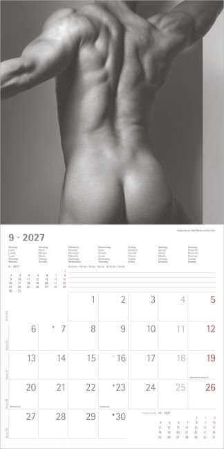 InsideView 5