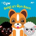 Cyfres Cyw: Bolgi a'r Wyn Bach - Llyn Anni Llyn