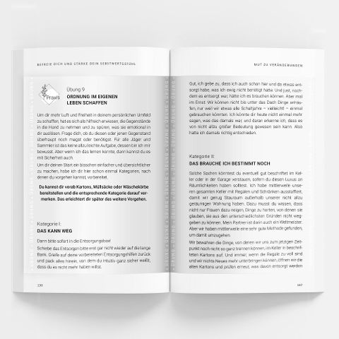 InsideView 5