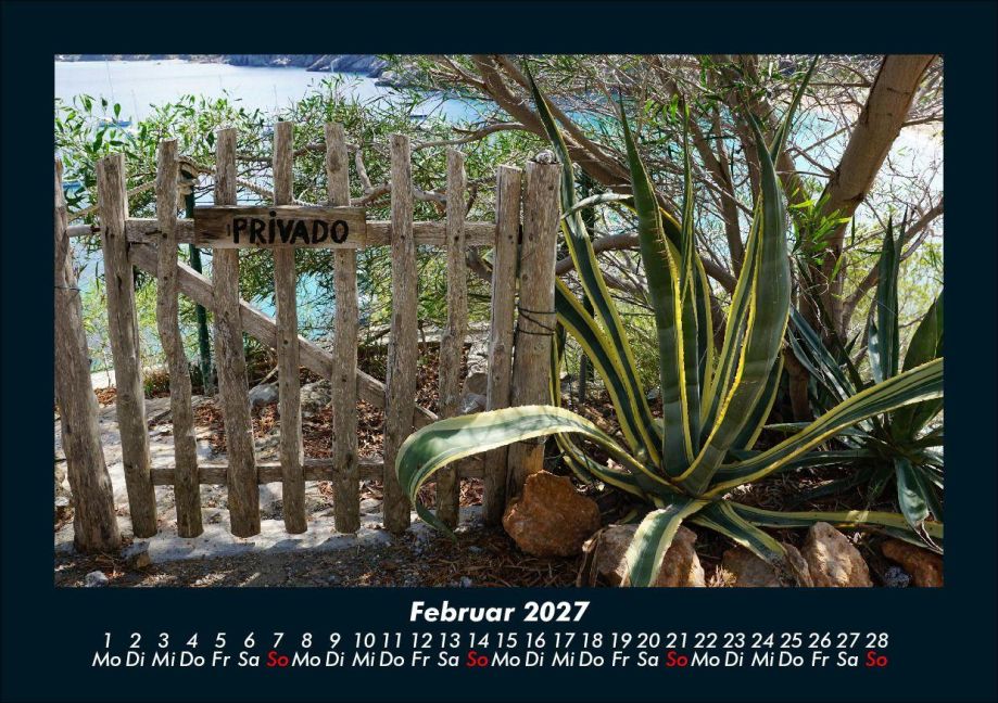 InsideView 6