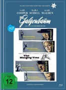 Cover-Bild zum Titel 'Der Galgenbaum' von 'Wendell Mayes, Halsted Welles, Dorothy M. Johnson, Max Steiner'