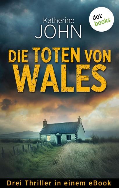 Die Toten von Wales - Katherine John