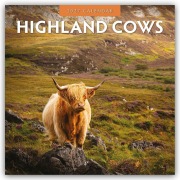 Cover-Bild zum Titel 'Highland Cows - Hochland Kühe 2027 - 16-Monatskalender' von 'Robin Red'