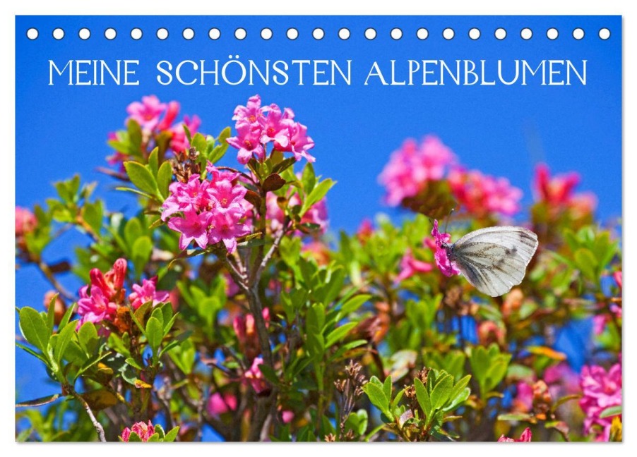 Meine schönsten Alpenblumen (Tischkalender 2026 DIN A5 quer), CALVENDO Monatskalender - Christa Kramer