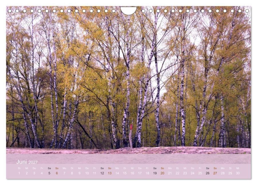 InsideView 11