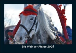 Cover-Bild zum Titel 'Die Welt der Pferde 2026 Fotokalender DIN A5' von 'Tobias Becker'