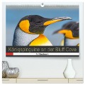 Königspinguine an der Bluff Cove (hochwertiger Premium Wandkalender 2024 DIN A2 quer), Kunstdruck in Hochglanz - Norbert W. Saul