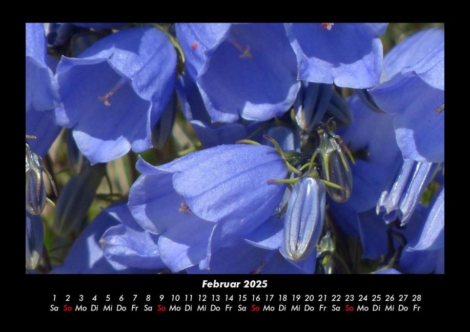 InsideView 6