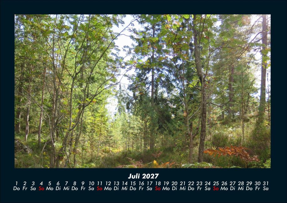 InsideView 11