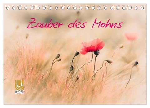 Zauber des Mohns (Tischkalender 2025 DIN A5 quer), CALVENDO Monatskalender - Annette Hanl