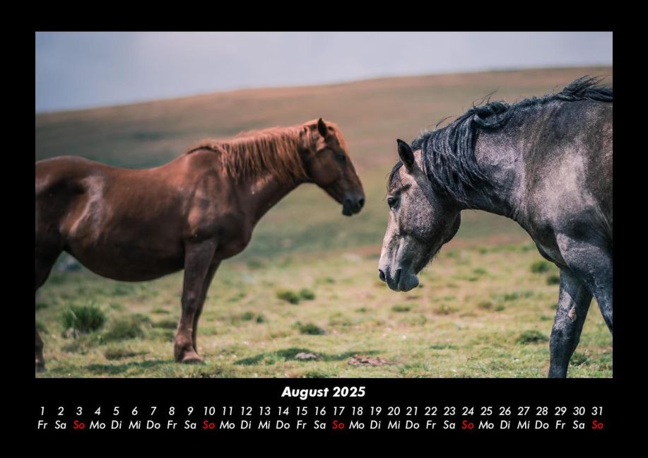 InsideView 12